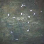 Mouettes III, 2021