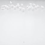 Les blancs existents, 2017 par Nina Smidek