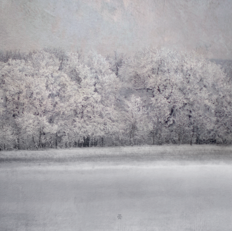 paysage-enneige-2016
