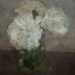 Pivoines de Kafka, 2021 par Nina Smidek