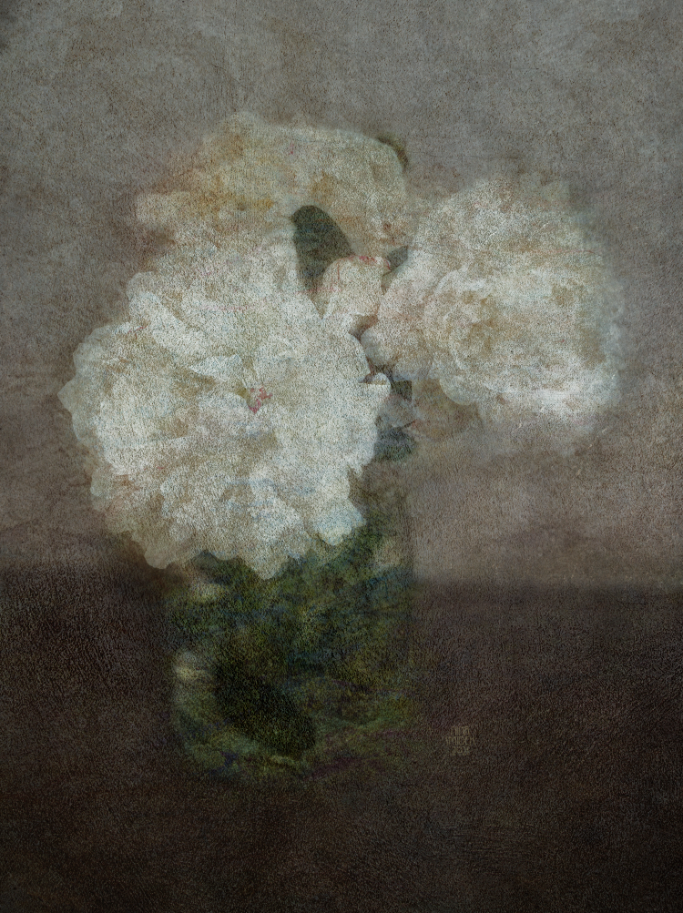 pivoines-de-kafka-2021