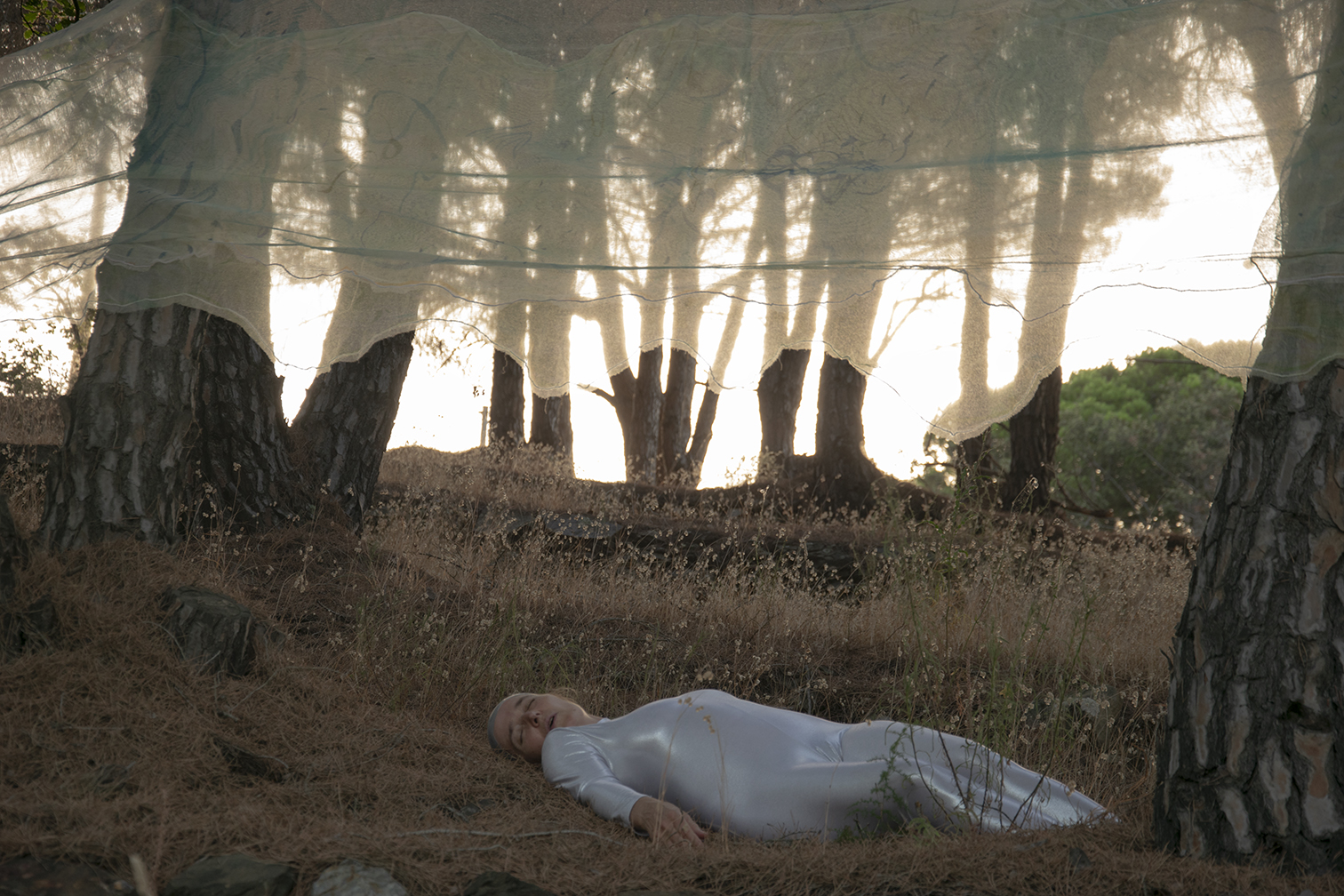 lundi-19h53-012-copie