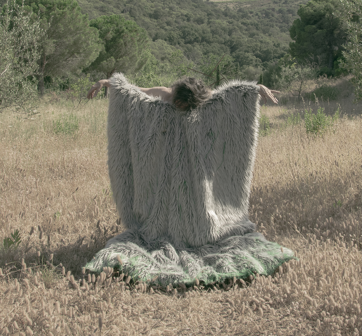 mardi-17h30015-ok-copie