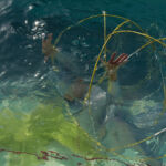 AQUA 0 par Sandra Detourbet