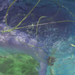 Vendredi 7h094-2 copie par Sandra Detourbet