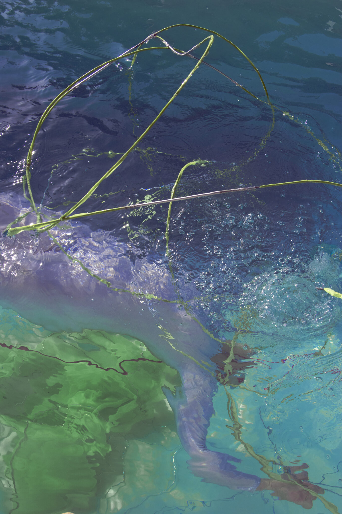 vendredi-7h094-2-copie