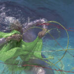 Vendredi 7h117 copie par Sandra Detourbet