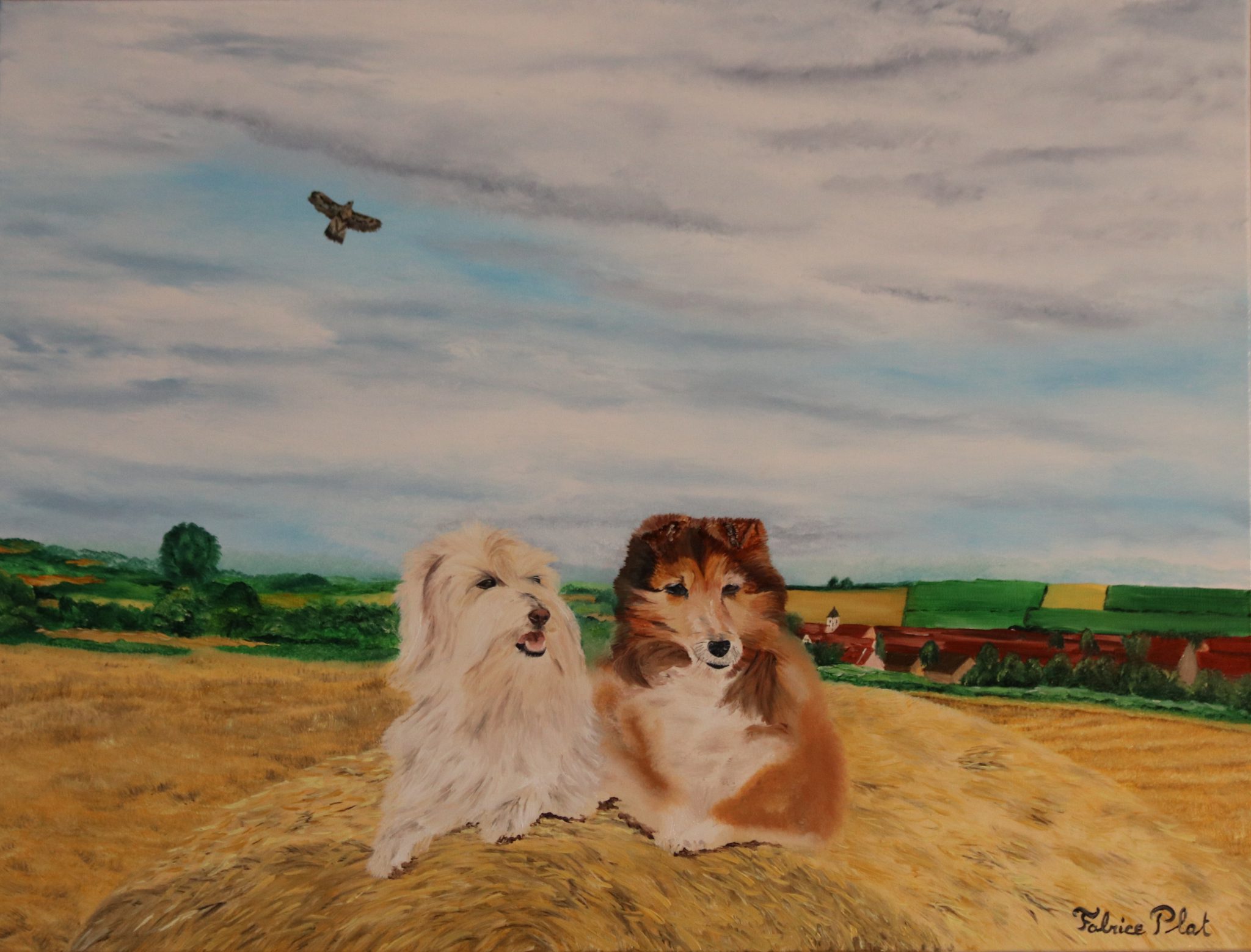 chiens