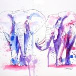 Élephants