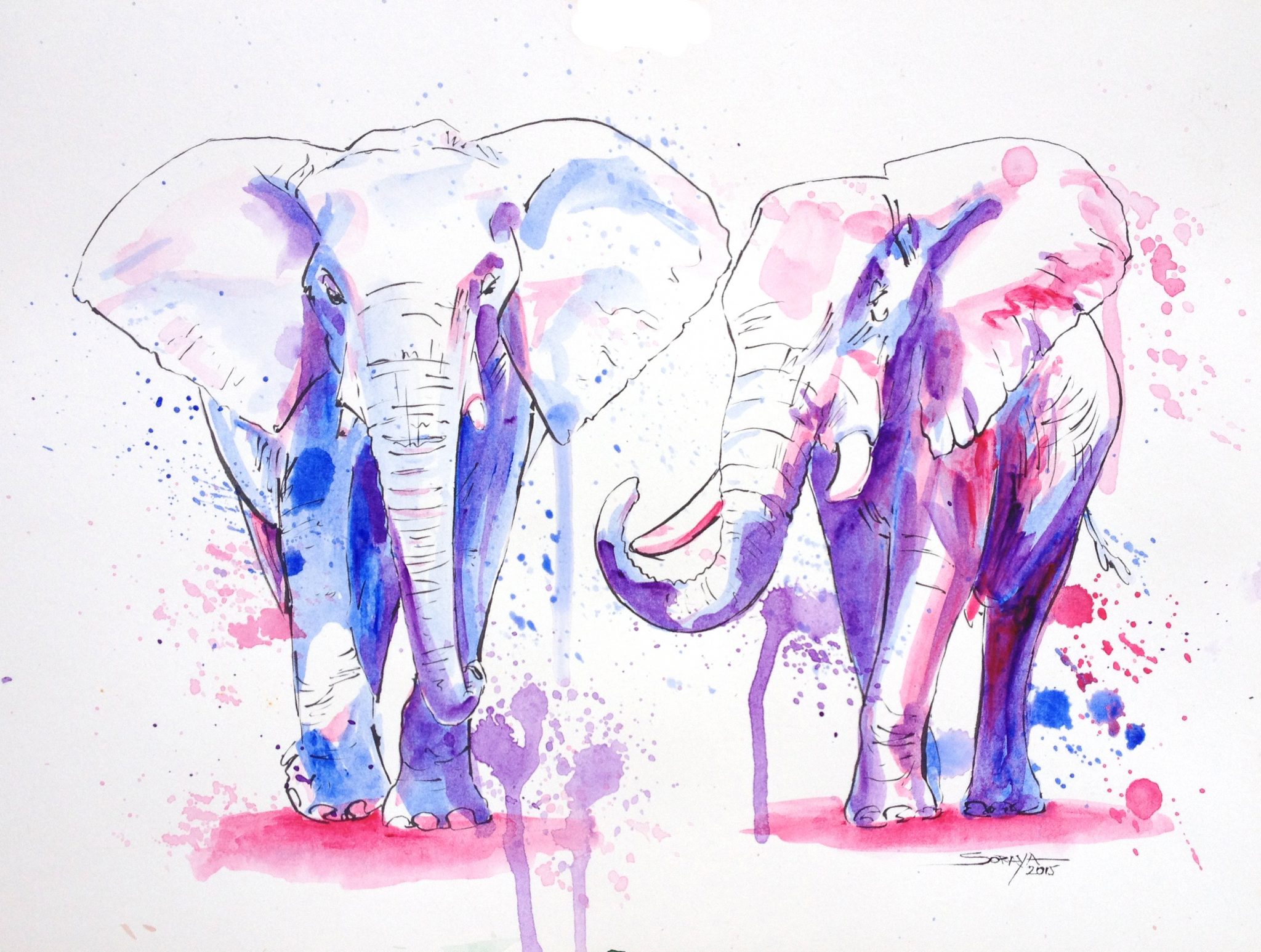 elephants