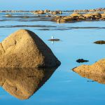 Landscape reflections