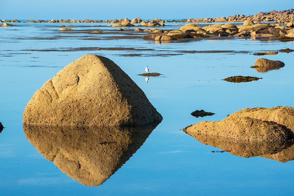 landscape-reflections