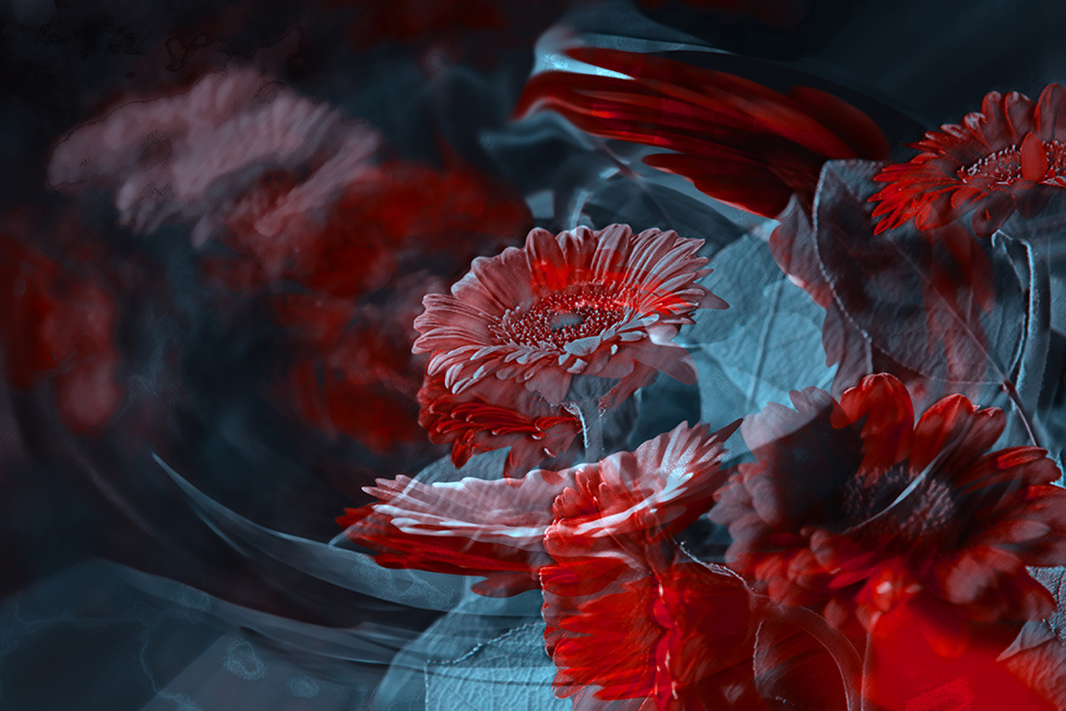 flowers-3