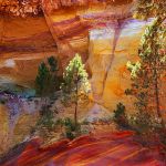 Provencal Colorado par Elena Dijour