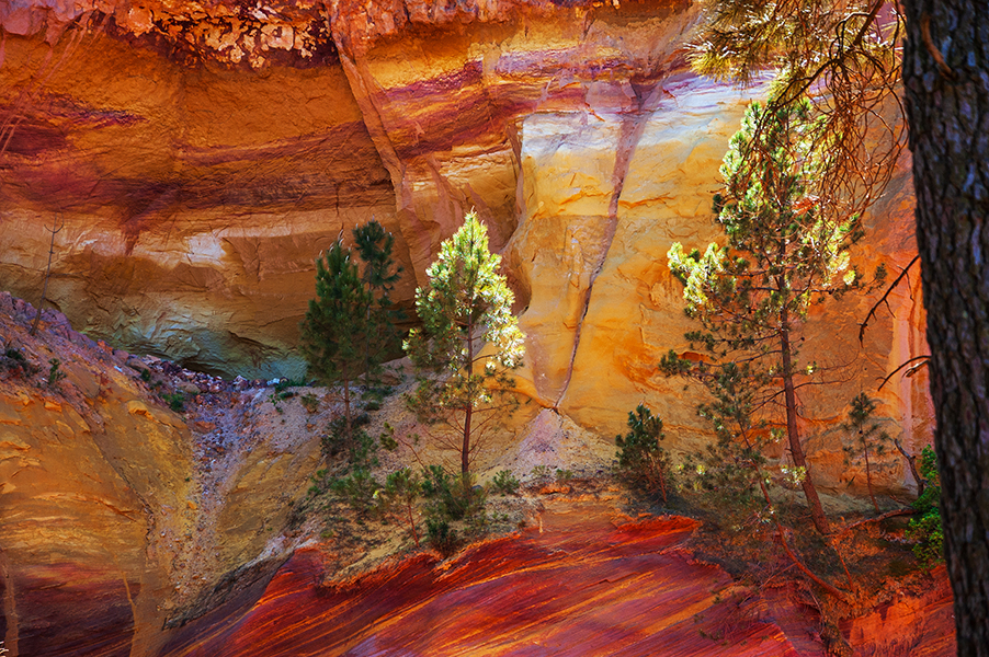 provencal-colorado