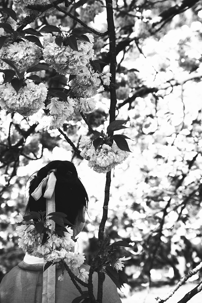 hanami