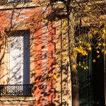 Autumn waltz par Elena Dijour