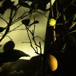 Sicily dreams suite no 11 par Elena Dijour