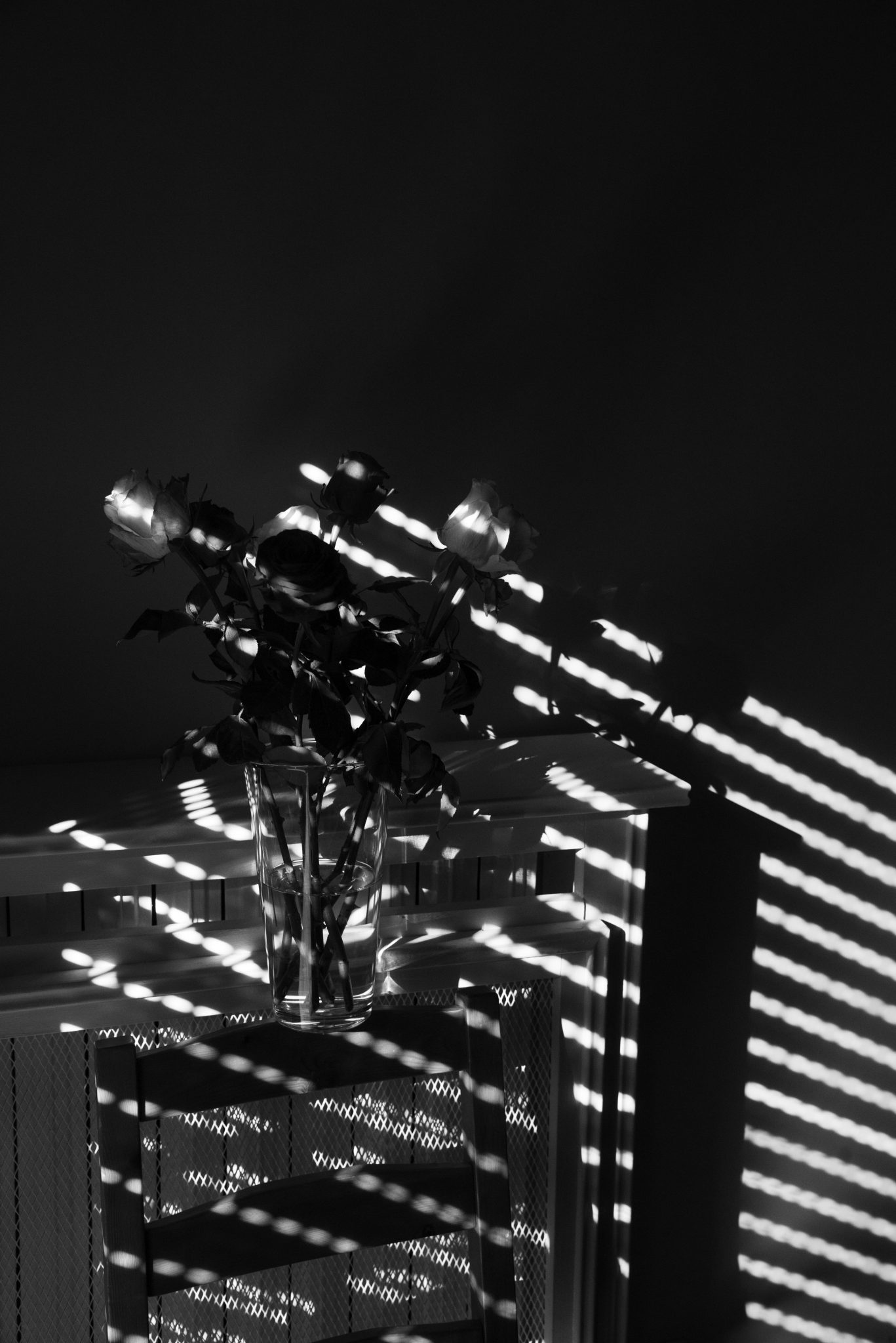 equilibrium