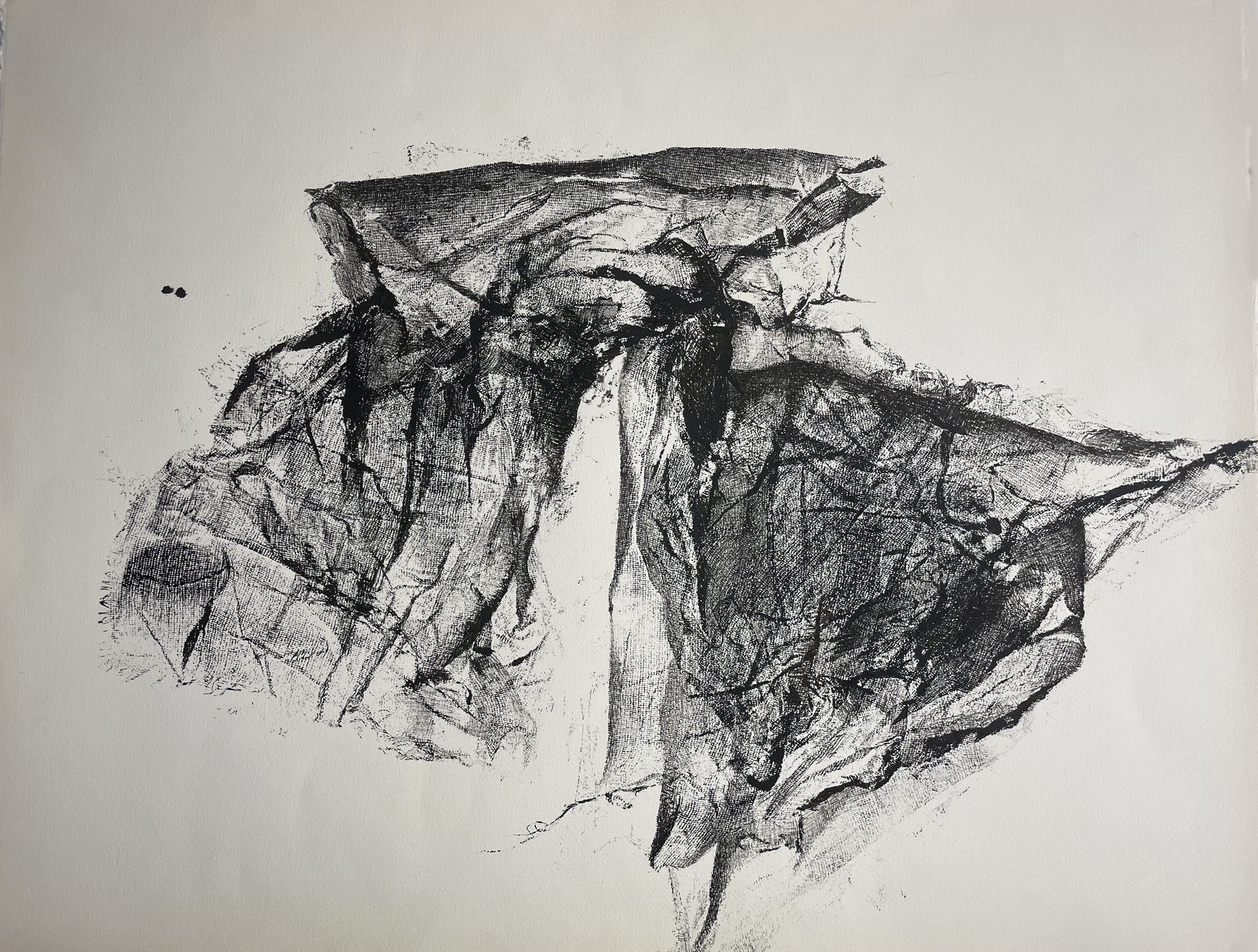 replis-organiques-5