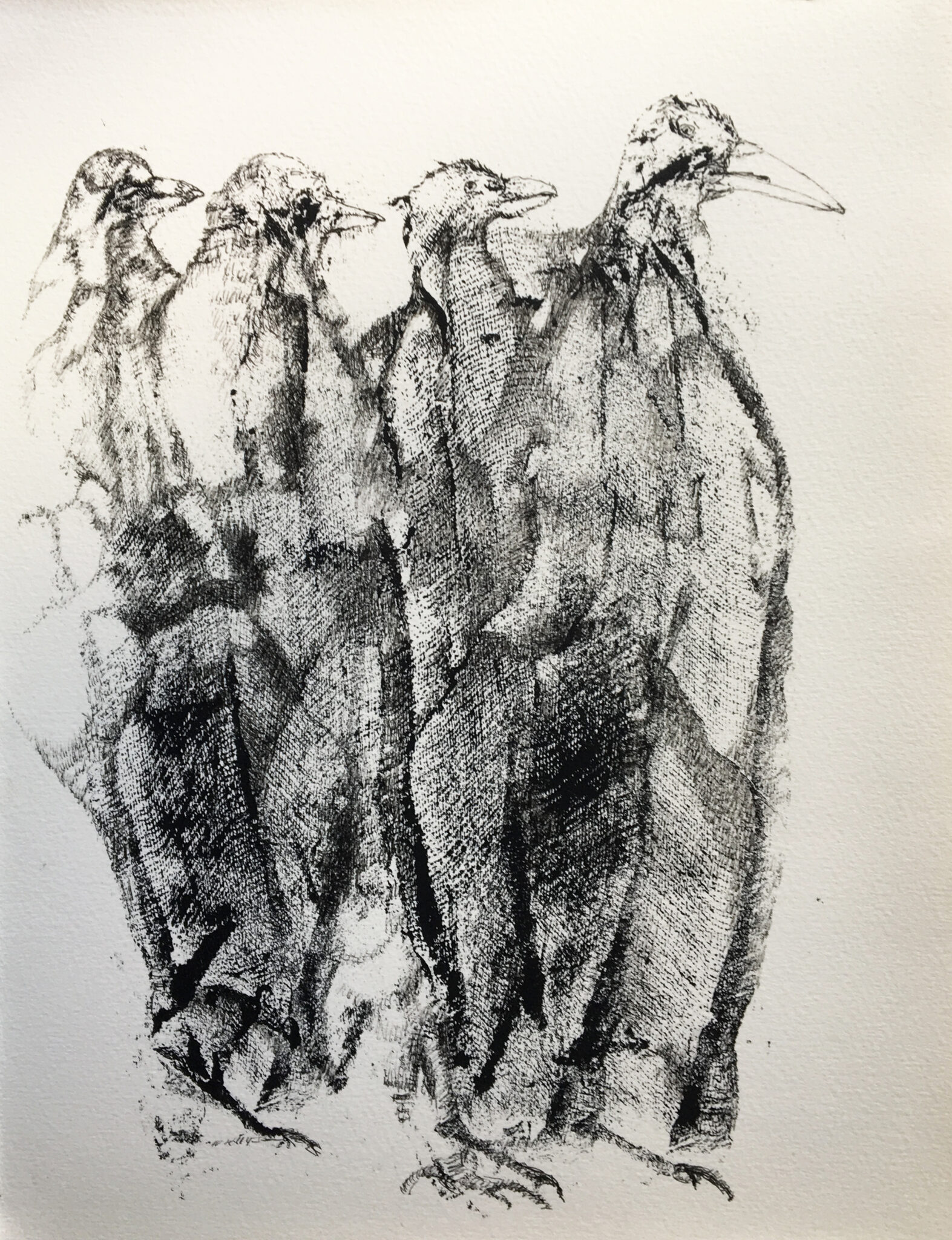 bestiaire-a-plumes-1