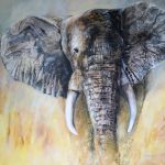 savane