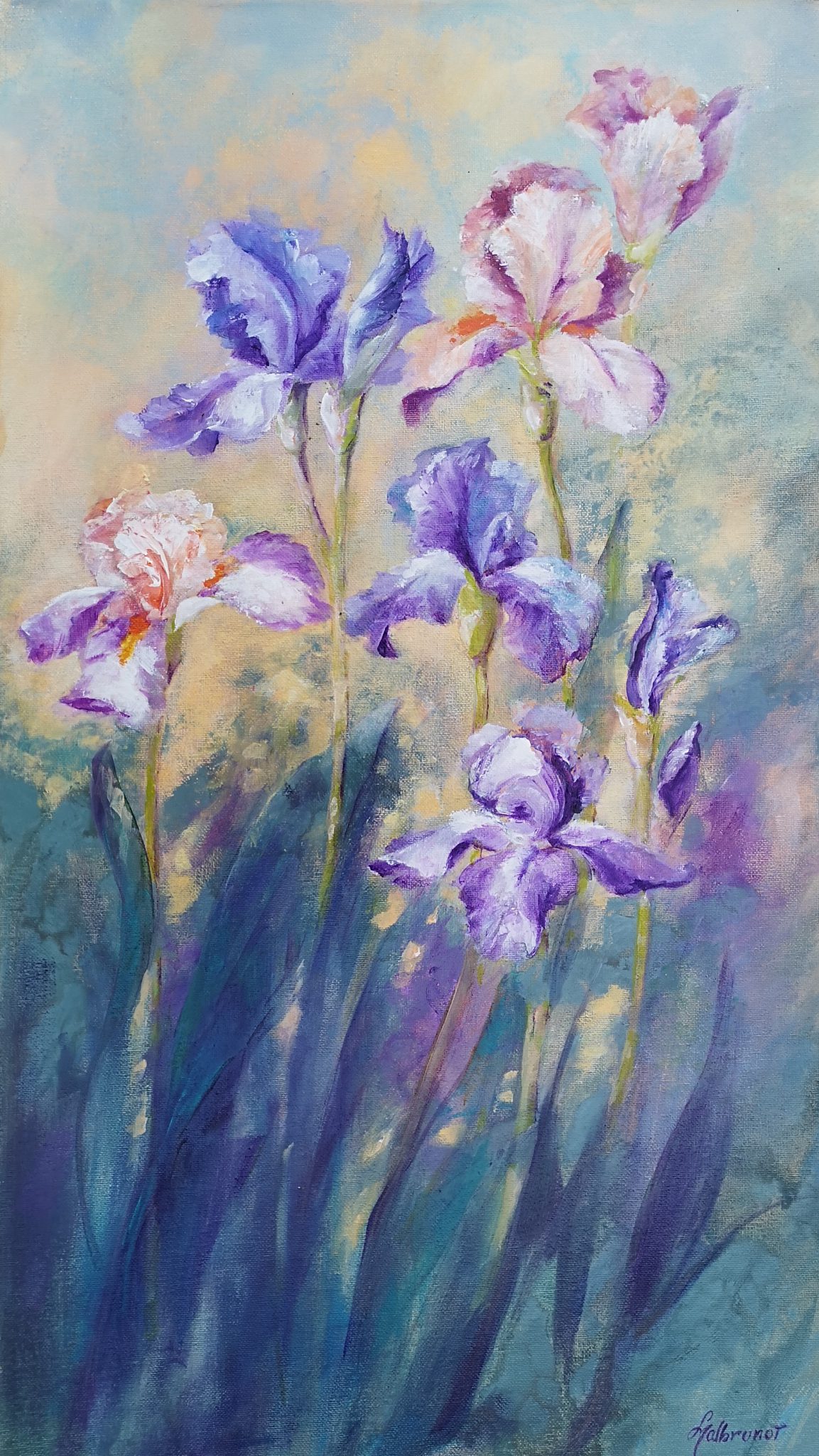 iris-14