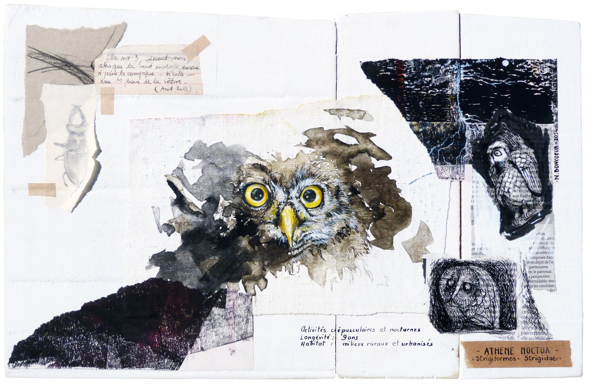 13-instants-furtifs-2014-athena-noctua-42-x-30-cm-techniques-mixtes-et-collages-sur-toile-marouflee-sur-bois