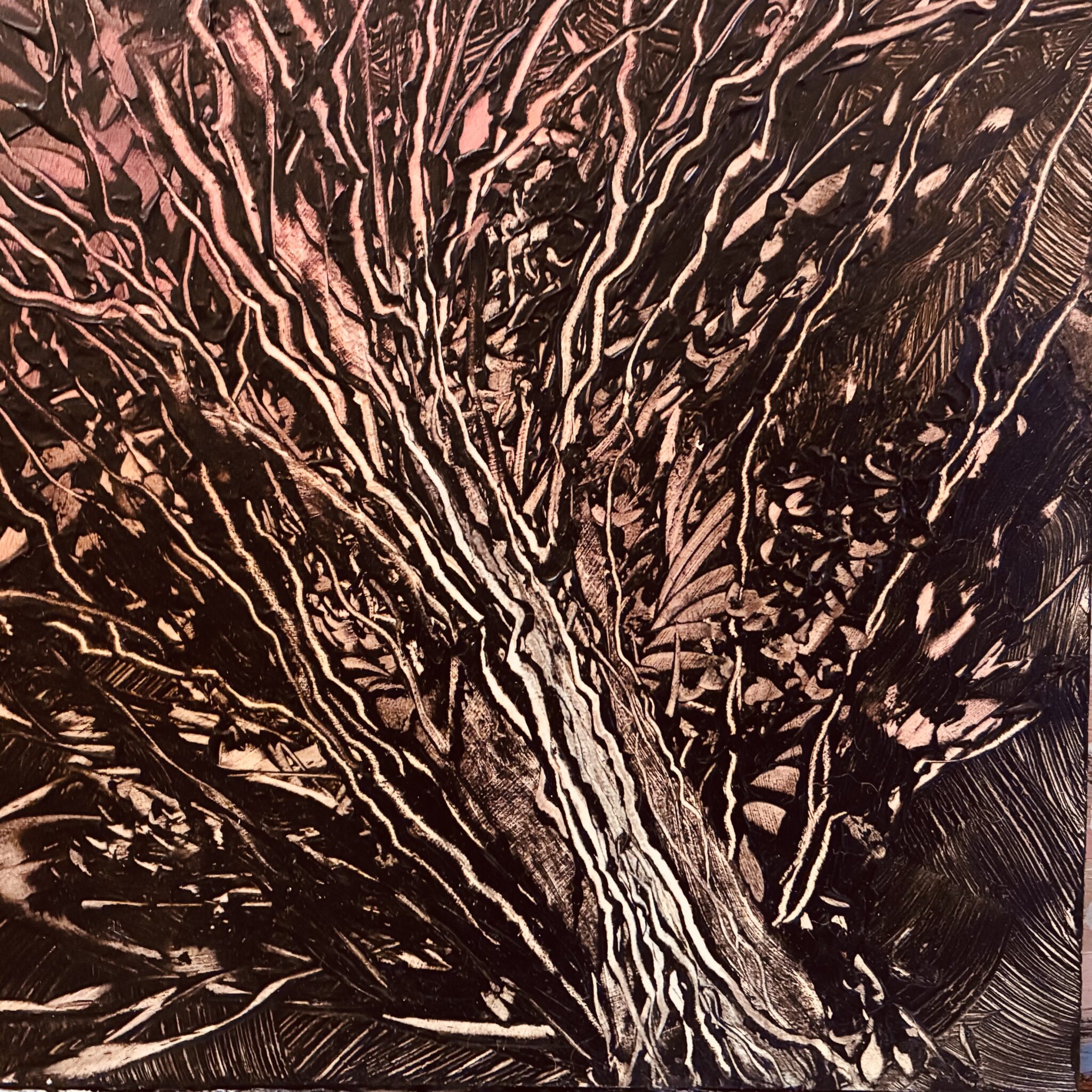 mystere-vegetal-6