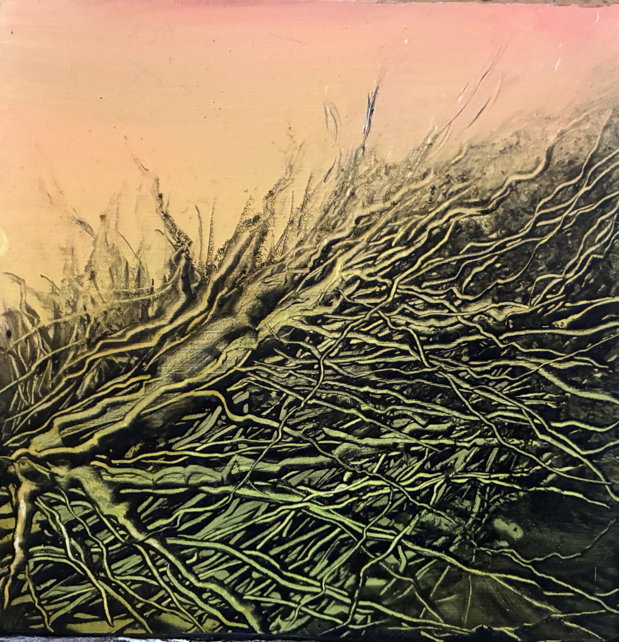 mystere-vegetal-7