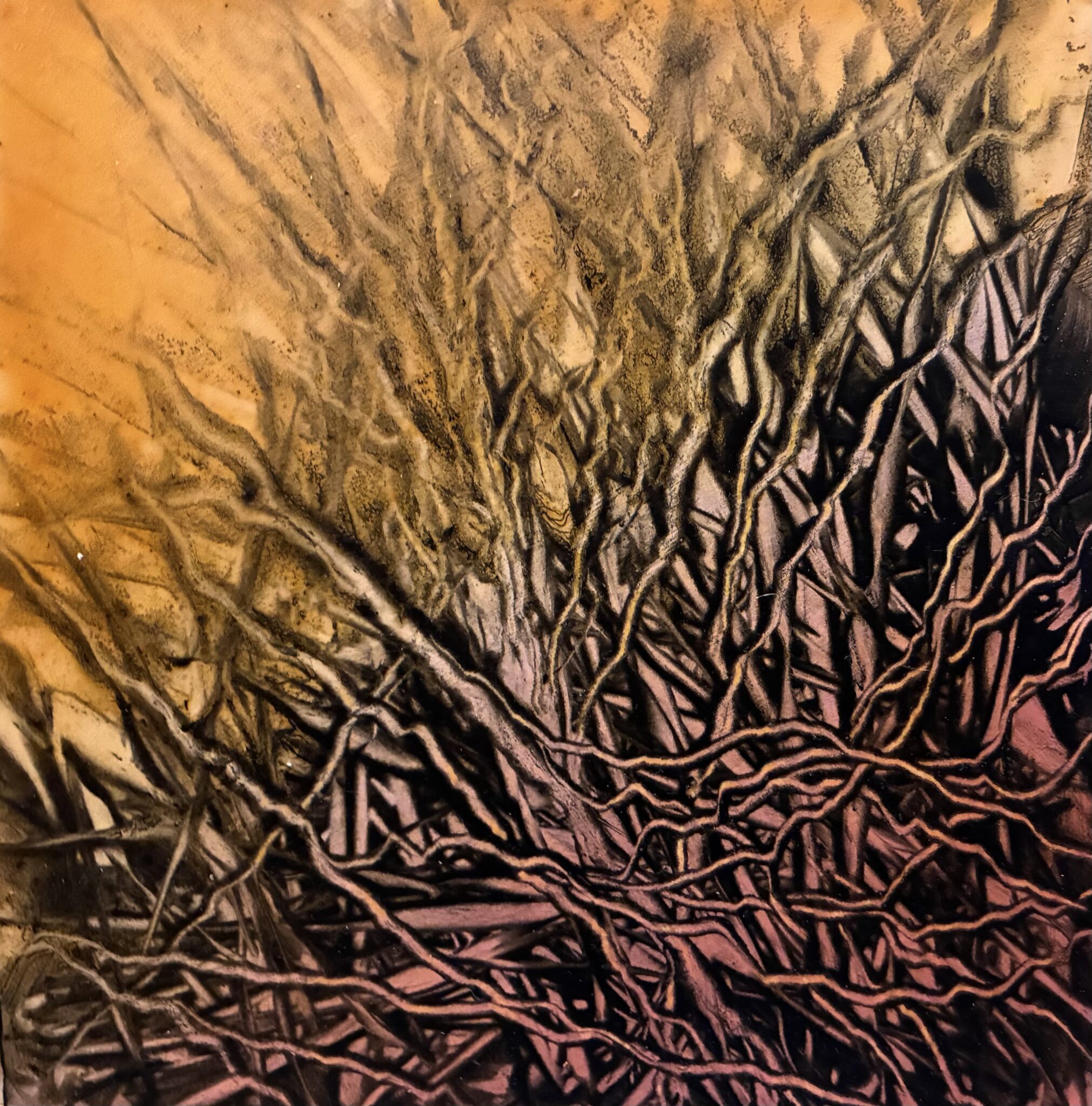 mystere-vegetal-8