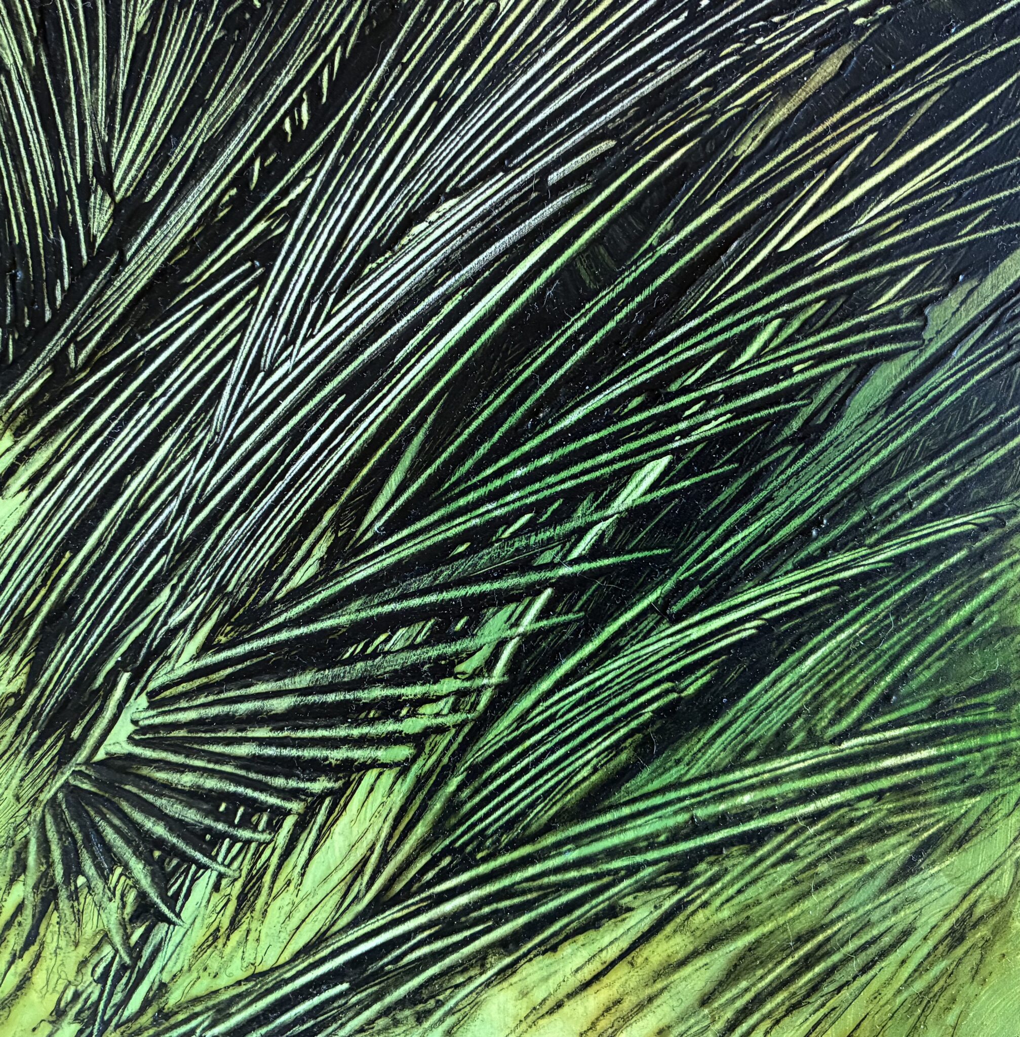 mystere-vegetal-9