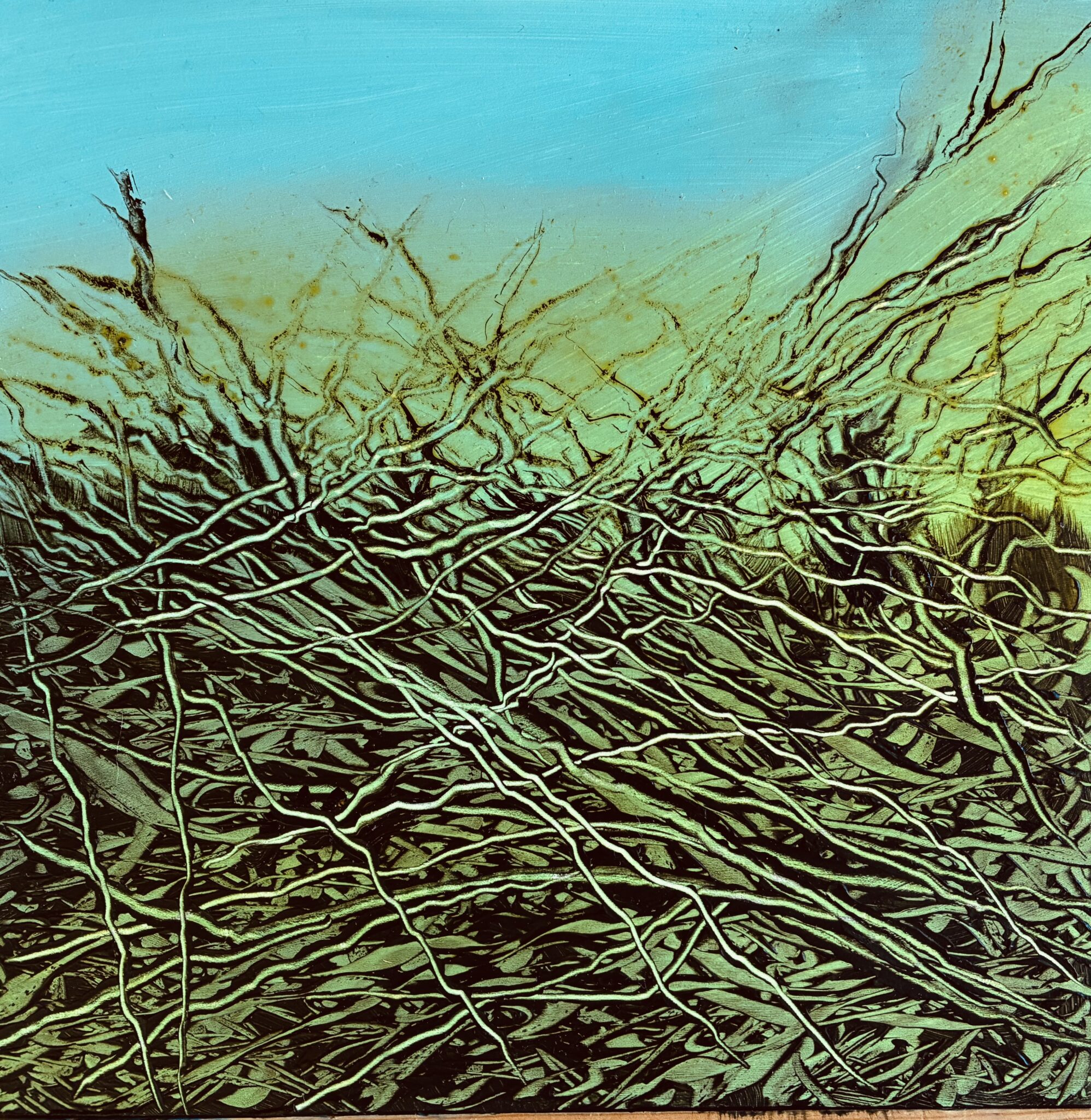 mystere-vegetal-10