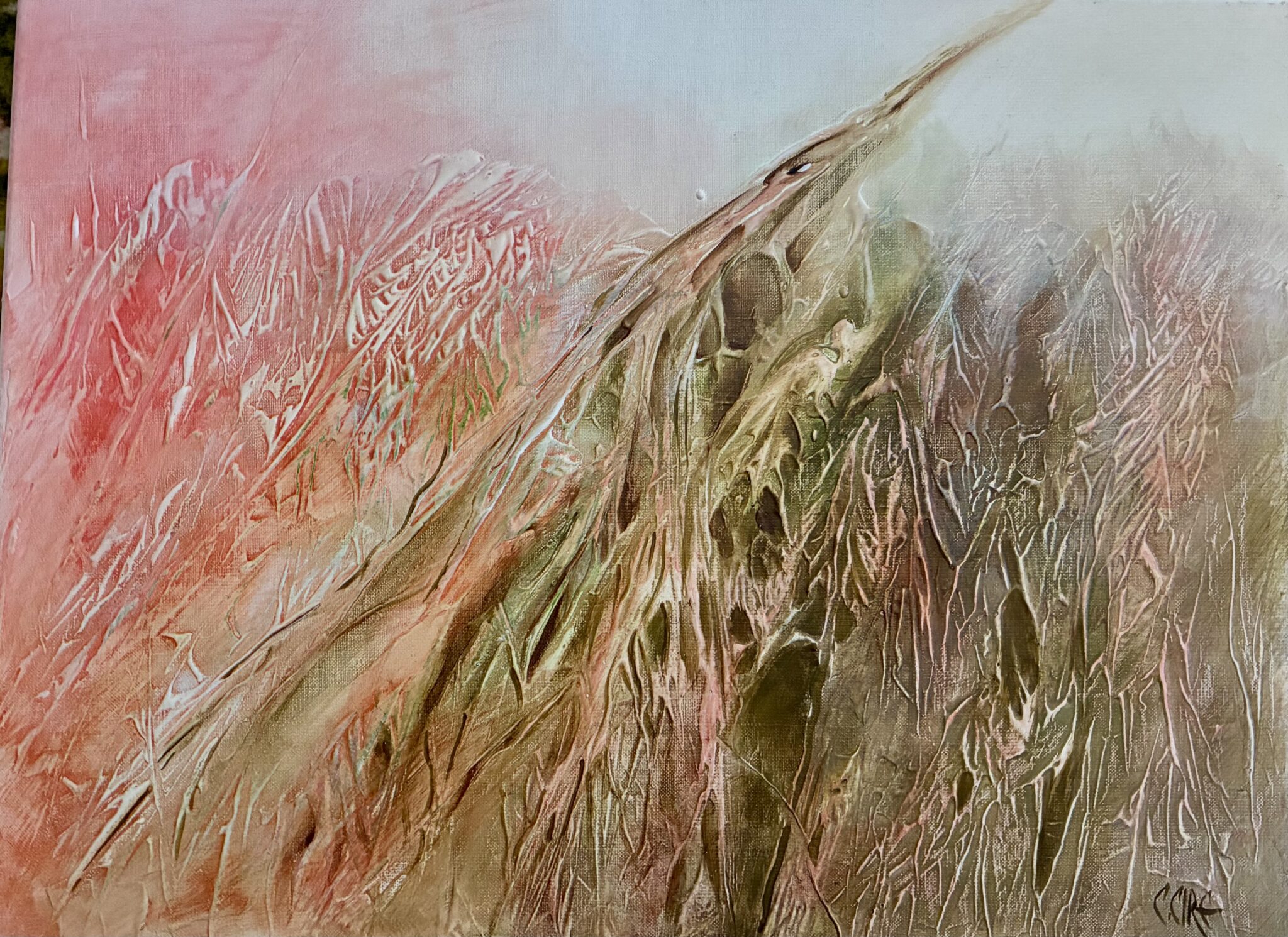 mystere-vegetal-1