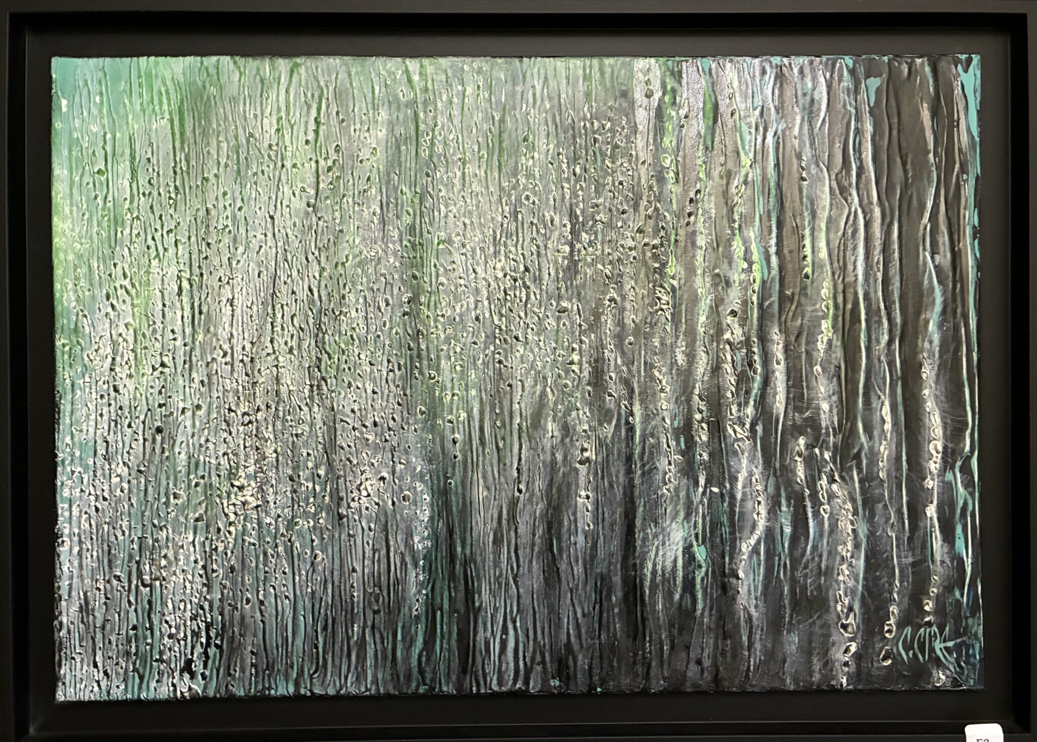 mystere-vegetal-3