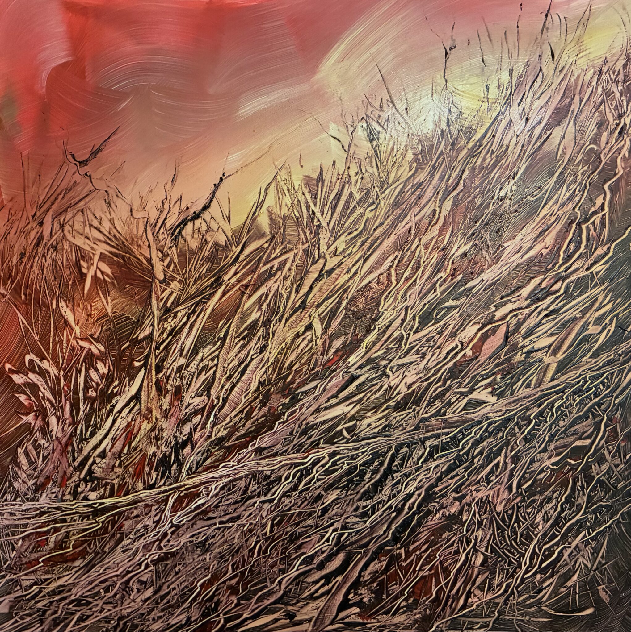 mystere-vegetal