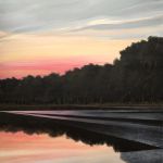 Etang de Sologne 5