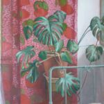 Le Monstera devant le rideau