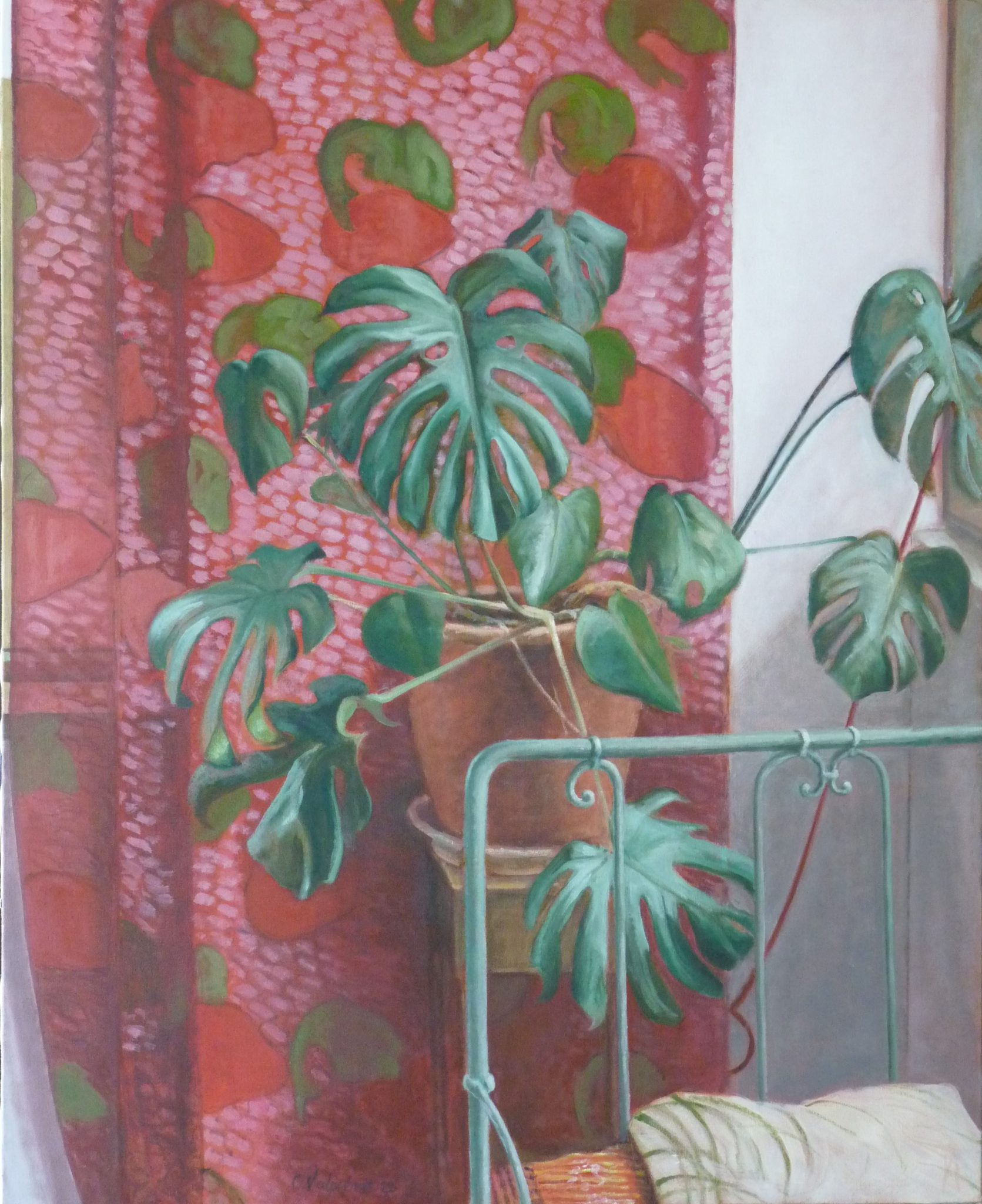 le-monstera-devant-le-rideau