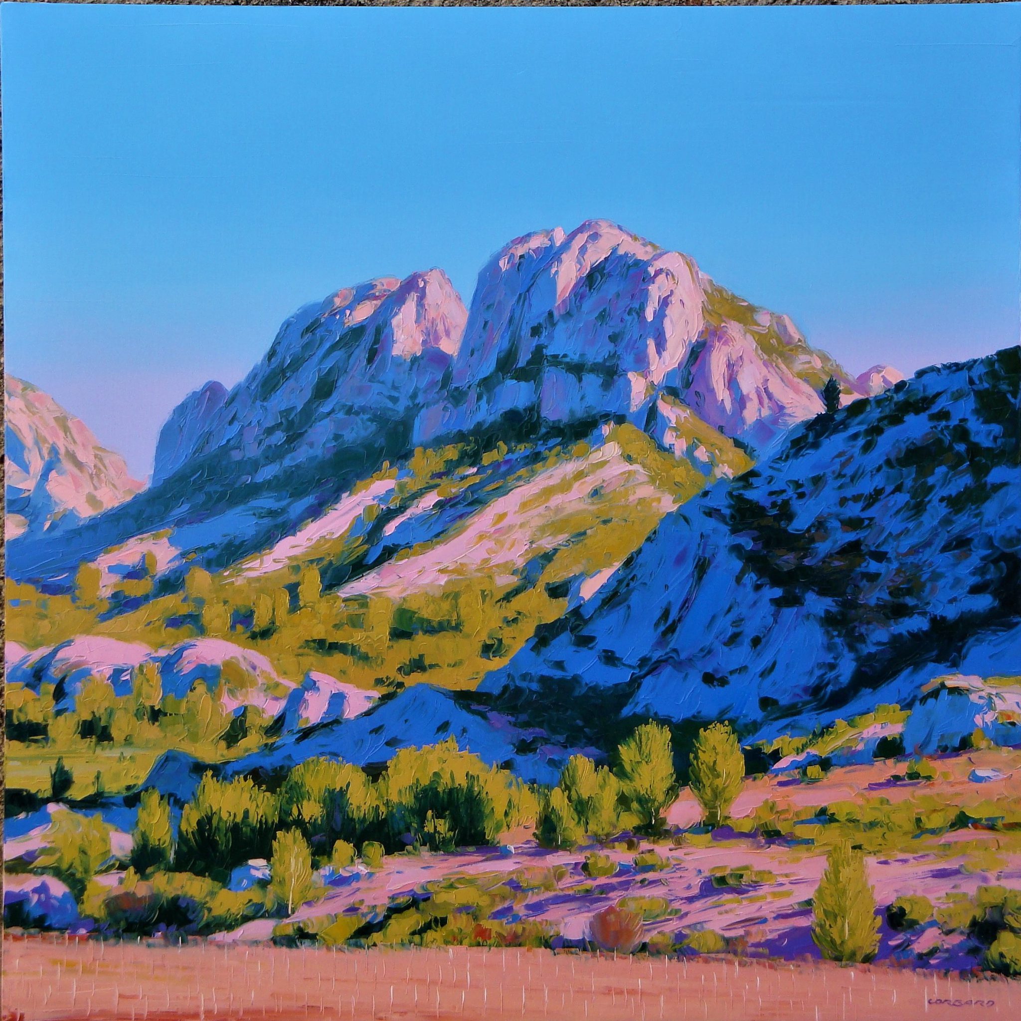 les-alpilles-domaine-de-la-vallongue