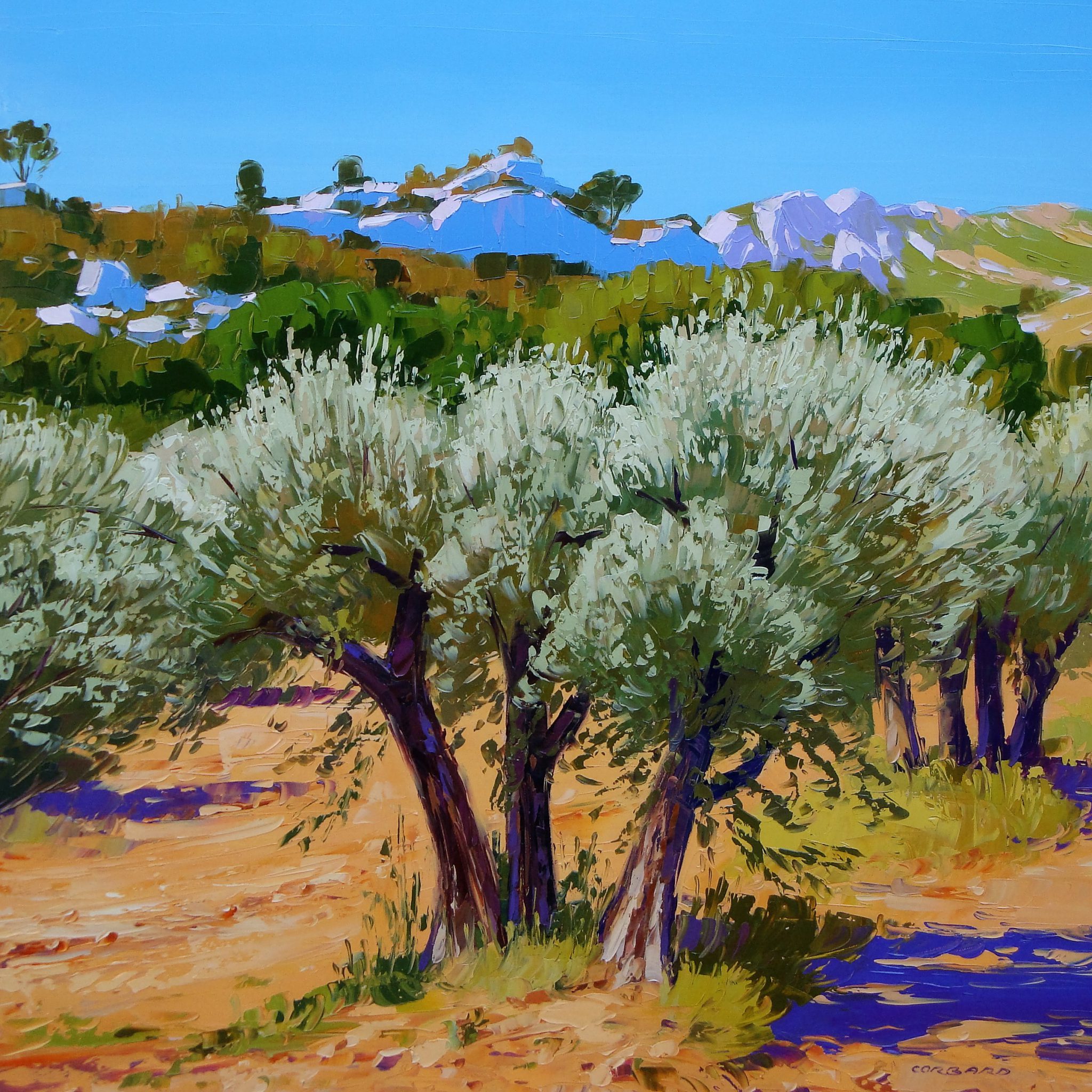 les-oliviers-les-alpilles