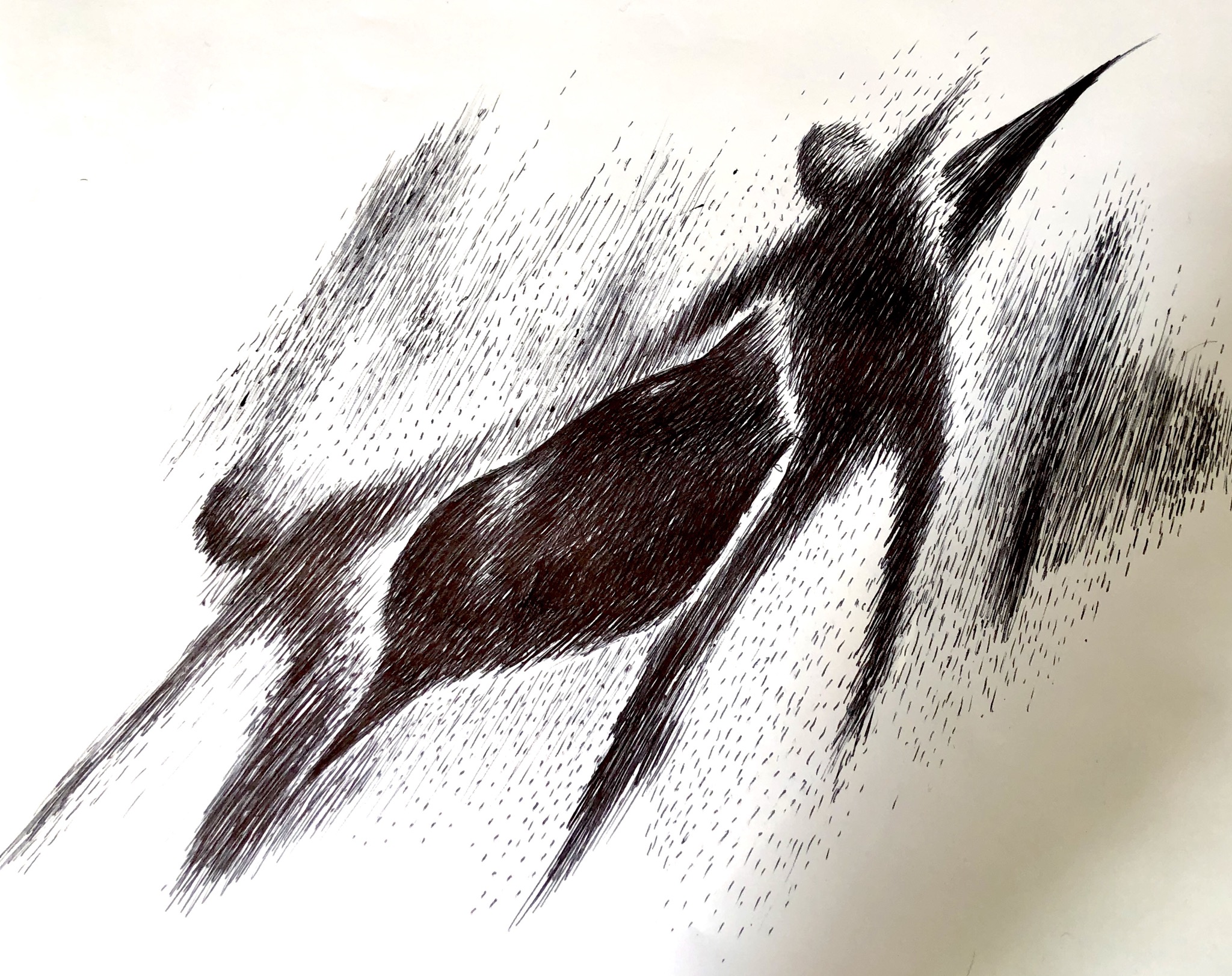 sans-titre-226