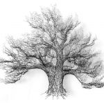 grand arbre n°5
