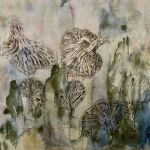 Ailes de papillon ou champignons?