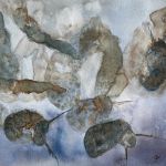 Puces d'eau III