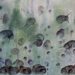 Puces d'eau V