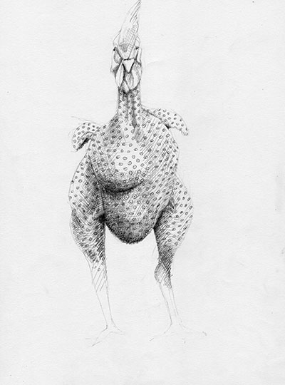 mais-que-deviendra-le-poulet-sans-plume%e2%80%89%e2%80%89