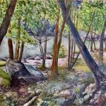 la nature reprend ses droits