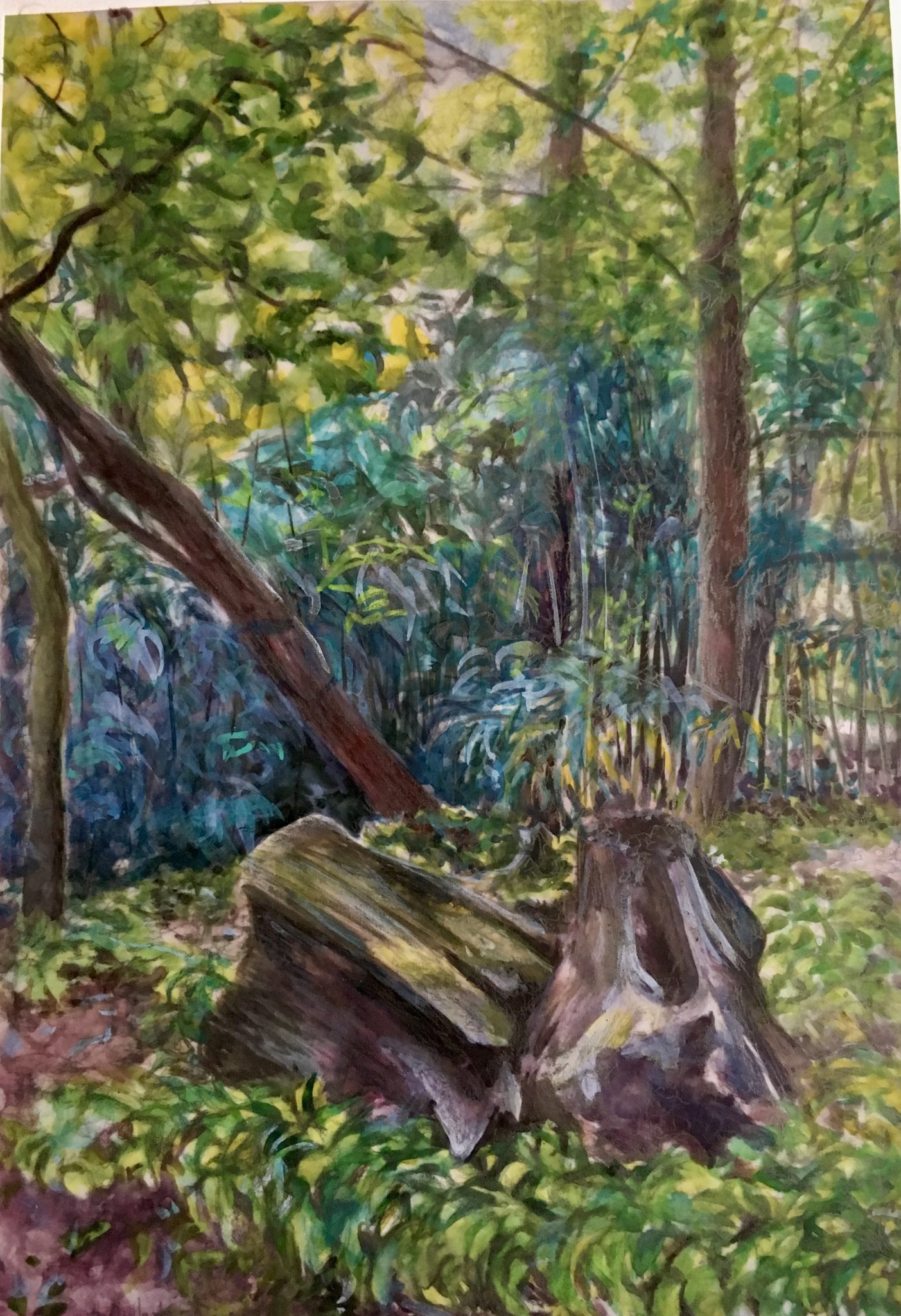 bois-de-vincennes-3