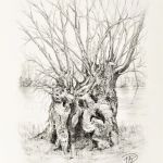 Arbre # 1